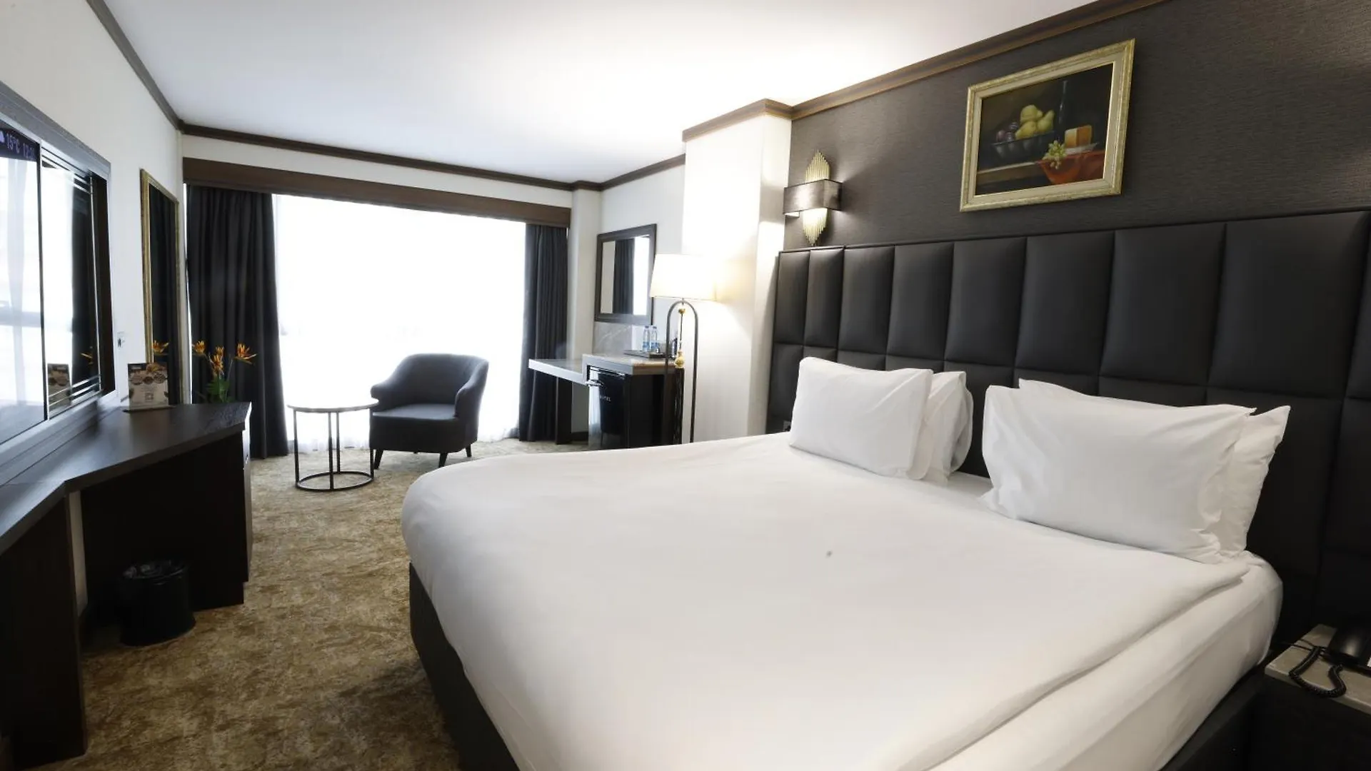 فندق Park Dedeman Kizilay أنقرة
