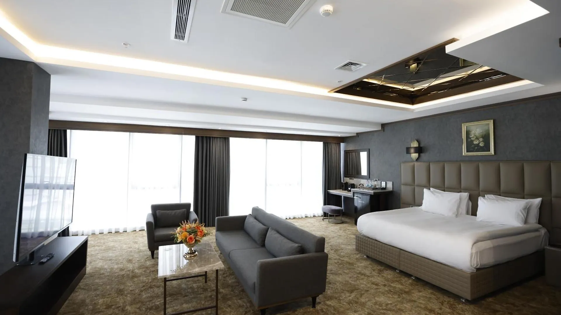 فندق Park Dedeman Kizilay أنقرة