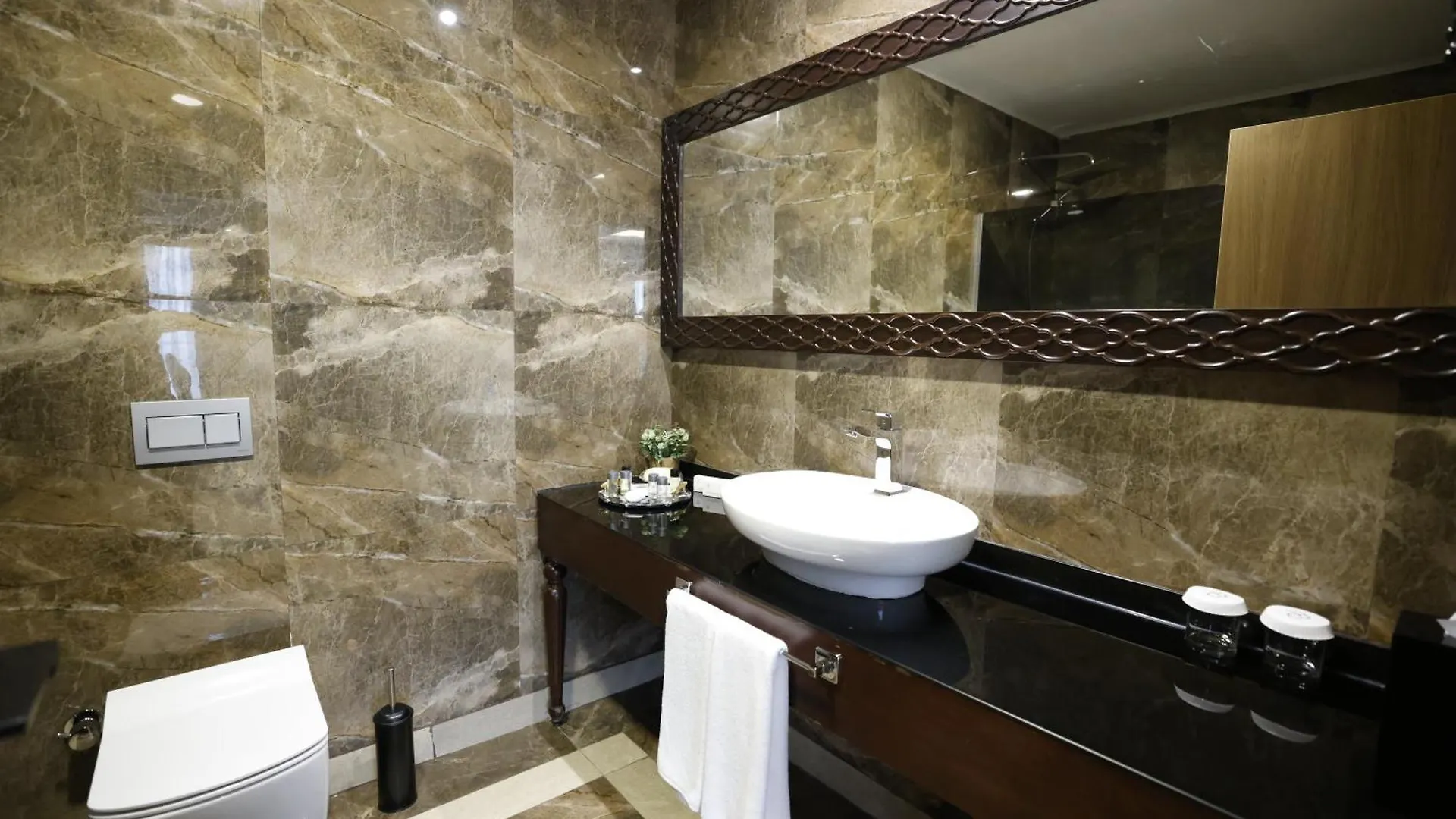 فندق Park Dedeman Kizilay أنقرة 4*,  تركيا